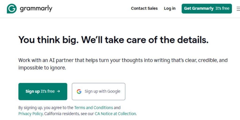 Official Grammarly website screenshot featuring 'You think big. We’ll take care of the details' headline and AI writing partner services.